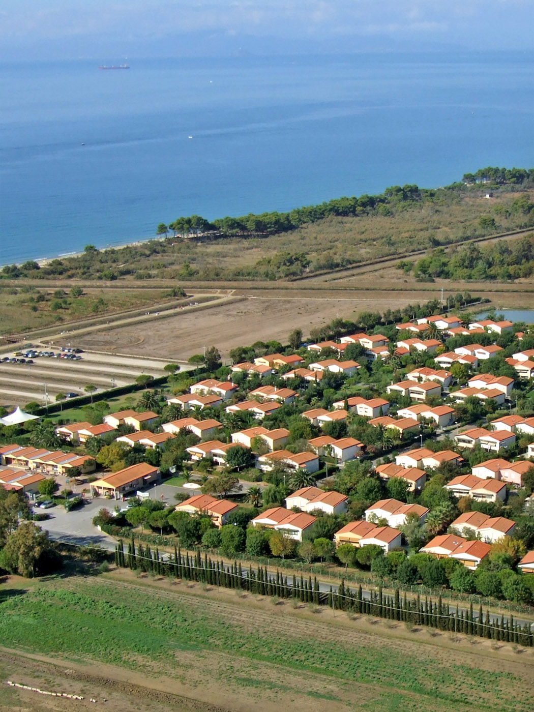 Spiagge Per Cani In Toscana Dog Coach